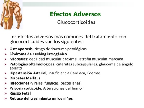 glucocorticoides-2010-29-728